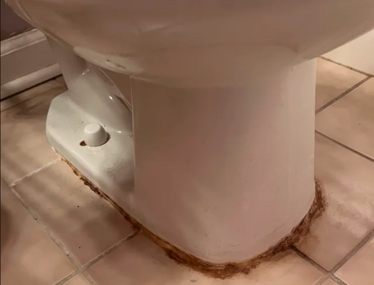 Faulty Toilet Seal