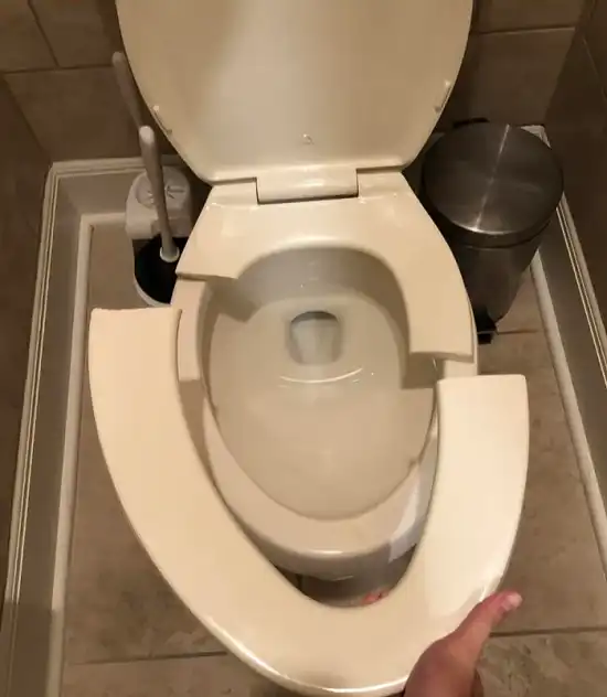 Broken Toilet Seats