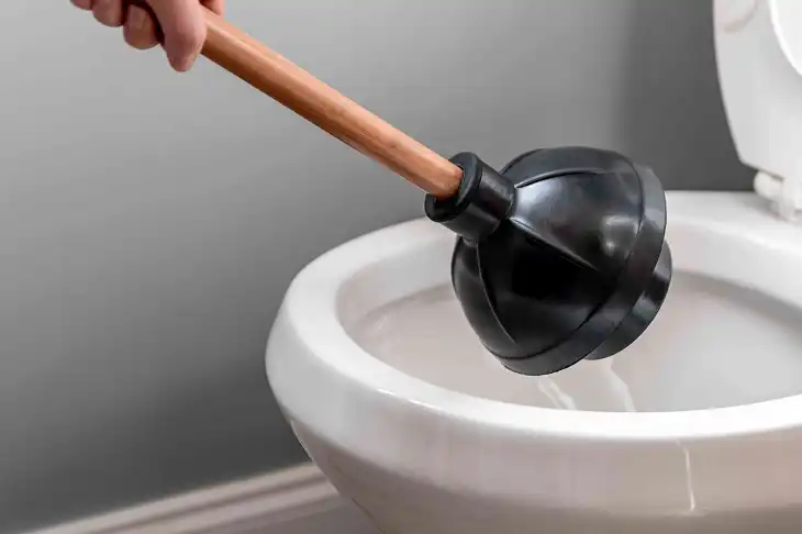 How to Unclog a Toilet Using a Plunger?